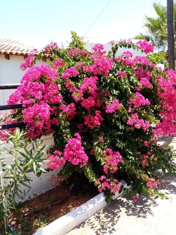 Evas House 7 Mins Walk To Beach Βίλα Σταυρός Εξωτερικό φωτογραφία